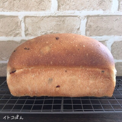 2018102404.jpg