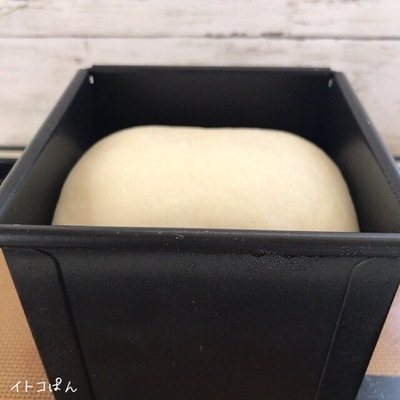 2019042202.jpg
