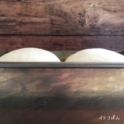 2019051302.jpg