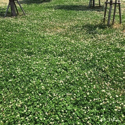 2019060604.jpg