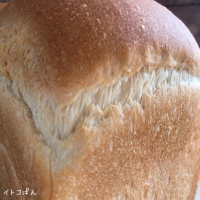 2019070202.jpg